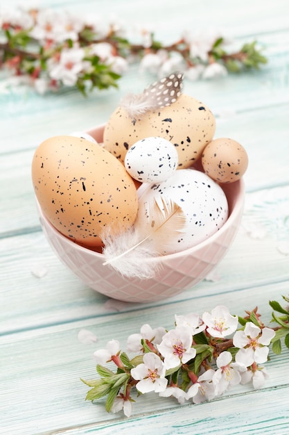 Ovos de páscoa e cartão de primavera flor de cerejeira