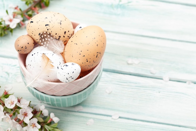 Ovos de páscoa e flor de cerejeira