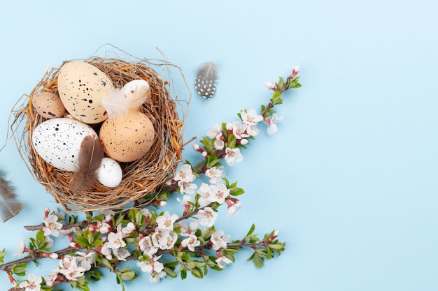 Ovos de páscoa e flor de cerejeira