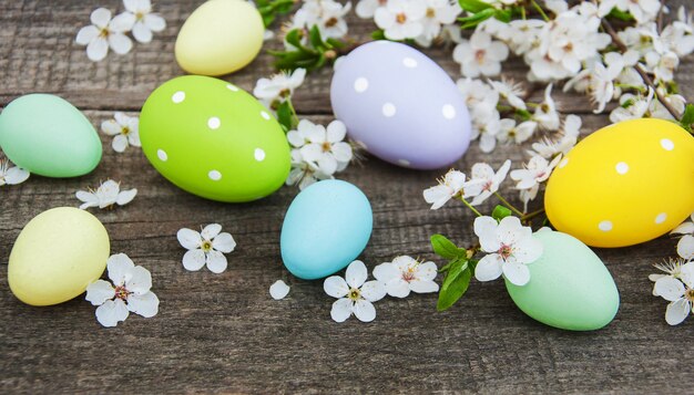 Ovos de páscoa e flor de primavera