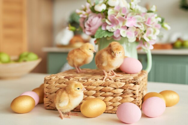 Ovos de páscoa e galinhas com flores. feliz páscoa conceito.