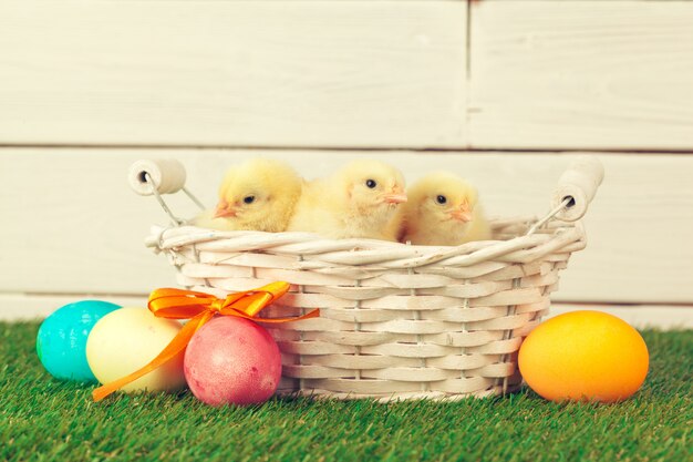 Ovos de Páscoa e galinhas na grama verde