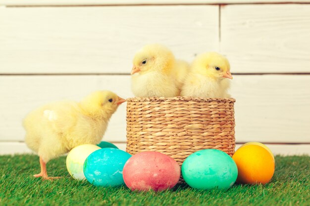 Ovos de Páscoa e galinhas na grama verde