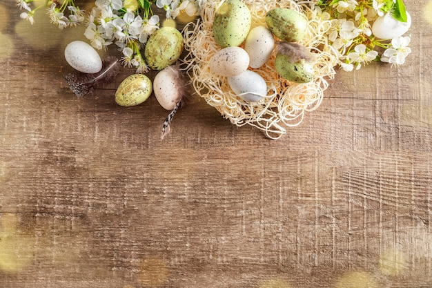 Ovos de Páscoa em tons pastéis no ninho e galhos florescendo na primavera