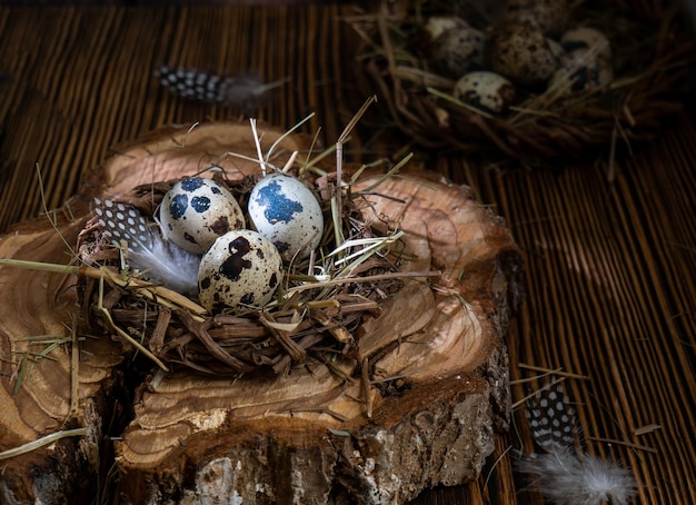 Ovos de Páscoa em um ninho em um cartão de saudação de Páscoa de fundo de madeira Ovos de codorna
