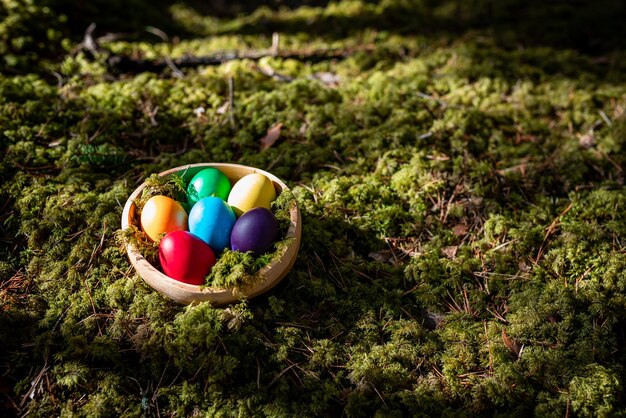 Ovos de Páscoa em uma cesta com um musgo verde