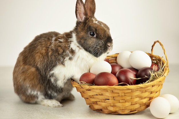 Ovos de páscoa em uma cesta de vime com feno em fundo branco coelhinho decorativo está por perto