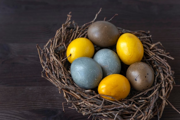 Ovos de páscoa multicoloridos em ninhos de pássaros na mesa de madeira. Feliz Páscoa.