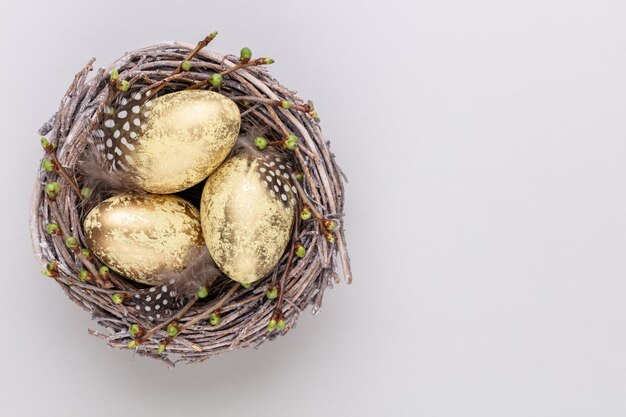 Ovos de páscoa no ninho Cartão de primavera xA