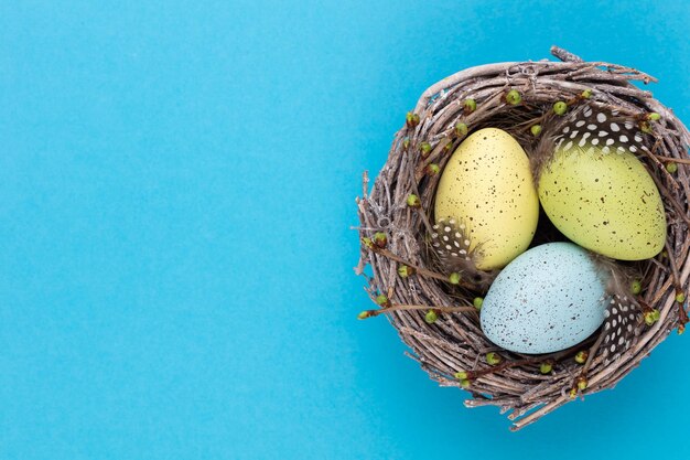 Ovos de páscoa no ninho Cartão de primavera xDxA