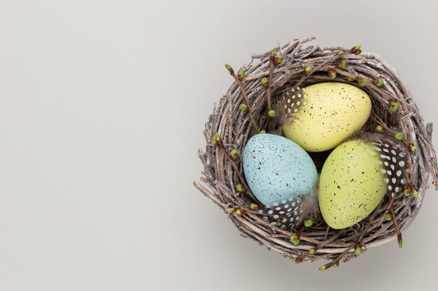 Ovos de páscoa no ninho Cartão de primavera xDxA
