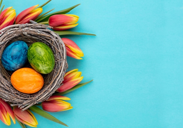 Ovos de páscoa no ninho Flores da primavera tulipas Cartão de saudação da primavera xA