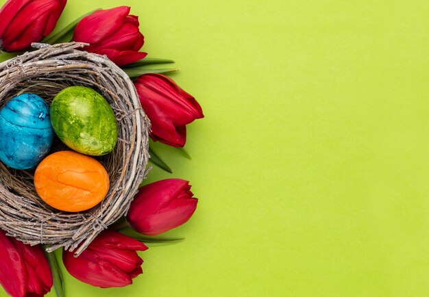 Ovos de páscoa no ninho Flores da primavera tulipas Cartão de saudação da primavera xA