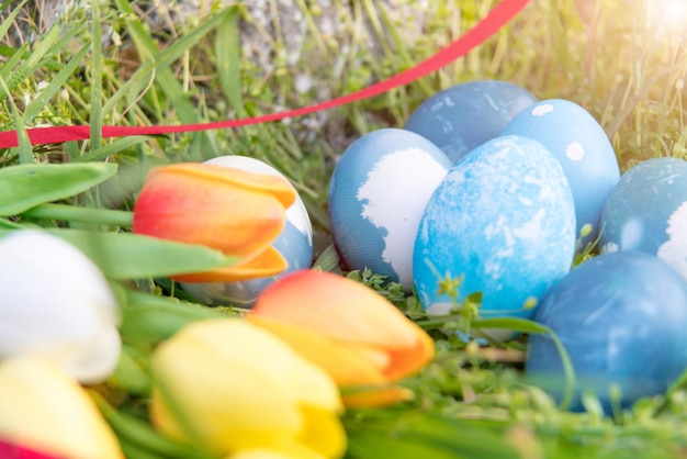 ovos de Páscoa orgânicos azuis, fundos de conceito de Páscoa