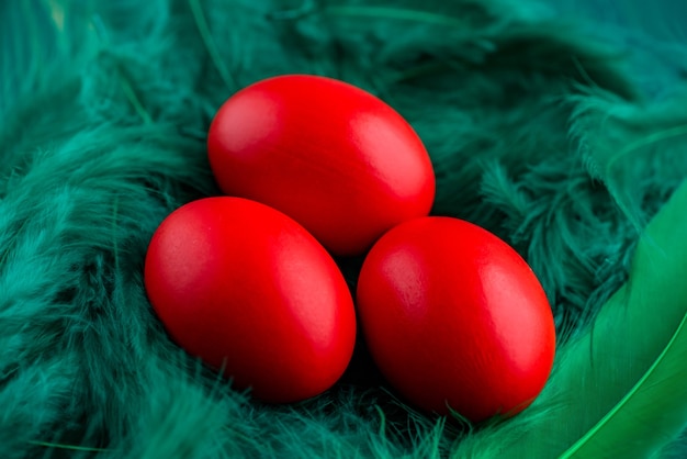 Foto ovos de páscoa. ovo colorido. ovos vermelhos em penas verdes