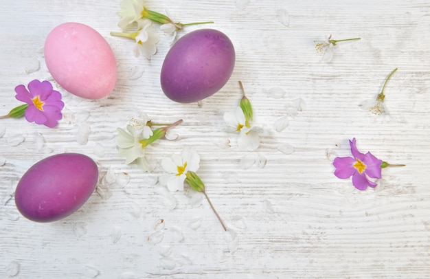 Ovos de Páscoa pintados em rosa e roxo em uma mesa entre flores e pétalas da primavera