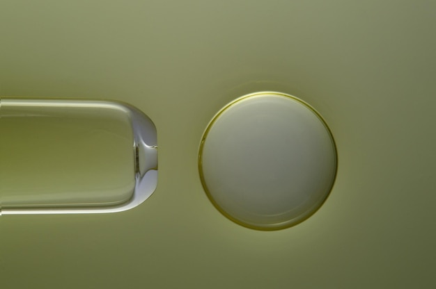 Ovum mit einer Nadel zur künstlichen Befruchtung oder In-vitro-Fertilisation Das Konzept der Gentechnik und künstlichen Befruchtung oder Behandlung von Unfruchtbarkeit