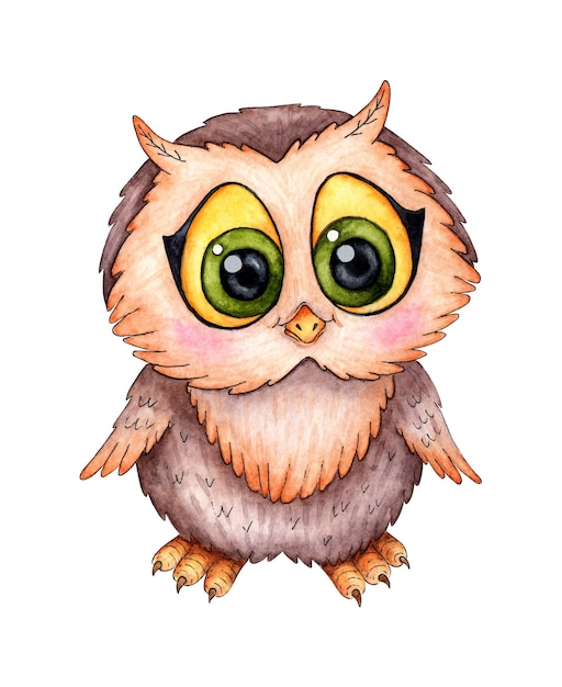 Owlet-Aquarell