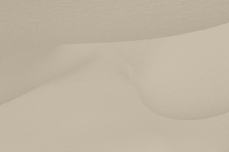 Foto oyster gray abstract design de fundo criativo