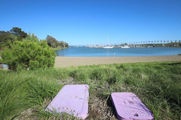 Oyster point playa y puerto deportivo de Brisbane, California