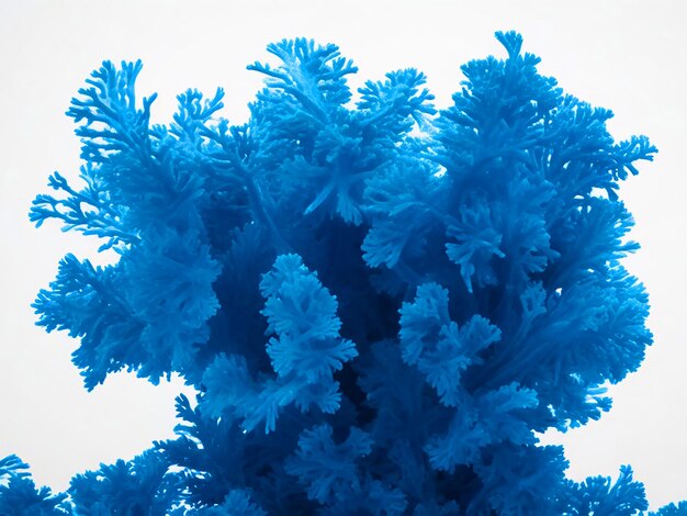 Ozean blaue Algen hoch detaillierte hd-Bild