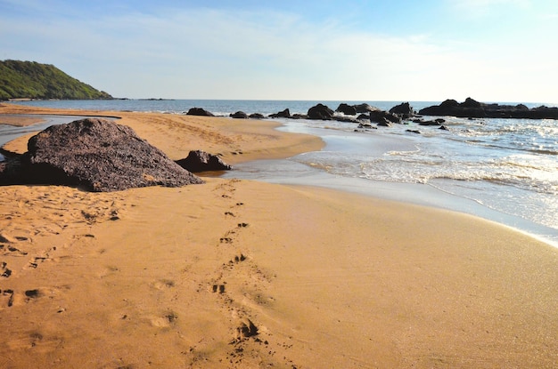 Ozeanstrand mit Insel und Palmen