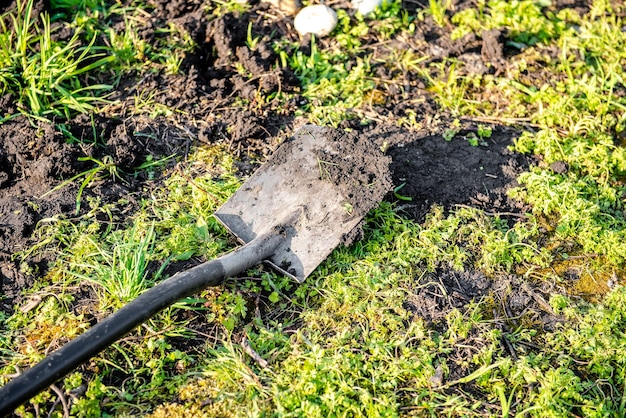 Pá no chão cultivo de plantas no jardim