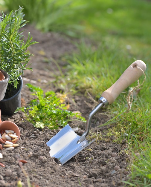 Pá que planta no solo de um jardim