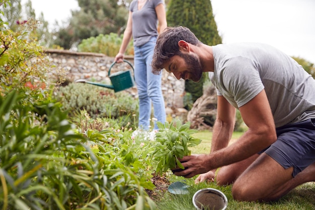 Paar arbeiten im freien im garten zu hause graben und pflanzen