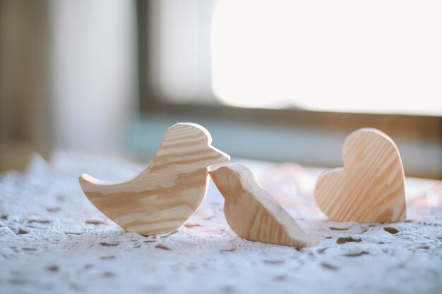 Paar aus Holz geschnitzte handgefertigte Spielzeugvögel Umweltfreundliches Lernspielzeug aus Holz nach der Montessori-Methode Holzspielzeug handgefertigtes Spielzeug für den Kindergarten Vorschule