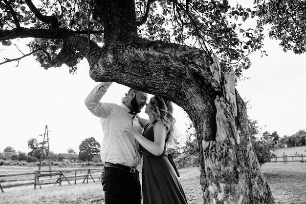 Paar bei einem Date. Lila Kleid. Braut und Bräutigam. Gehen Sie auf dem Feld. Liebesgeschichte. Schwarzweißfoto.