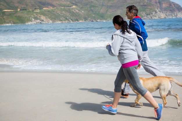 Paar, das mit Hund joggt