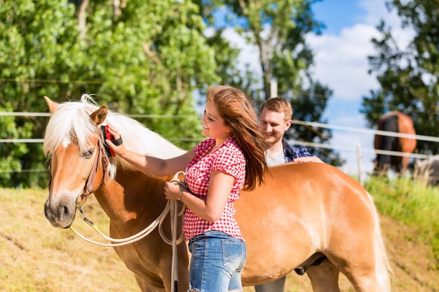 Paar, das Pferd auf Ponyfarm kämmt