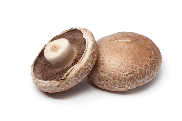 Paar frische rohe Portobello-Pilze isoliert auf weißem Hintergrund