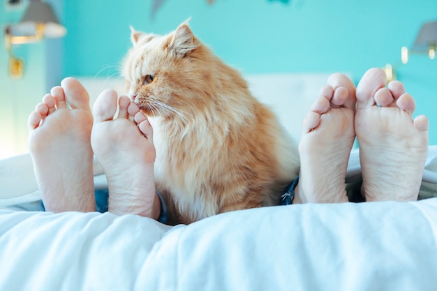 Paar im Bett mit Katze zwischen den Füßen