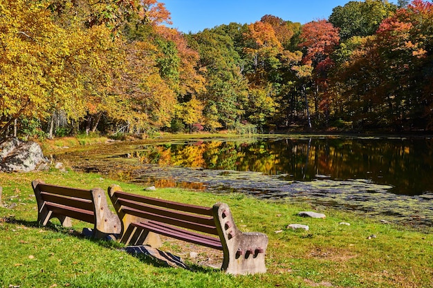Paar Parkbänke auf dem Rasen an einem kleinen Teich, der von Herbstwaldbäumen gesäumt ist