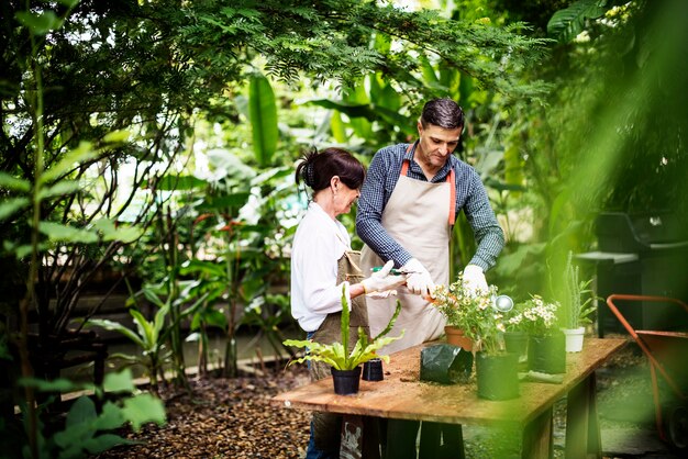 Paar pflanzt gemeinsam Blumen im Garten