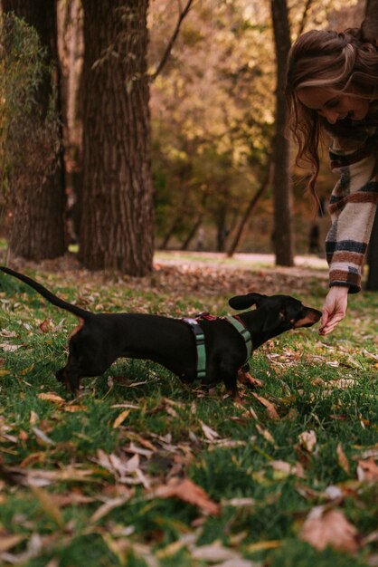 Paar spielt mit Hund im Park