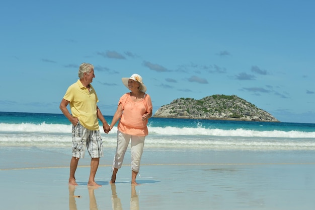 Paare, die auf Strand gehen