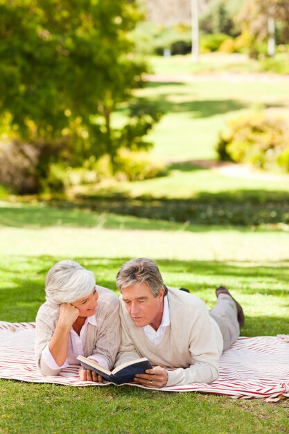 Paare, die ein Buch im Park lesen