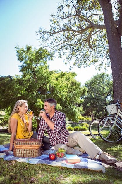 Paare, die ein Picknick im Park haben