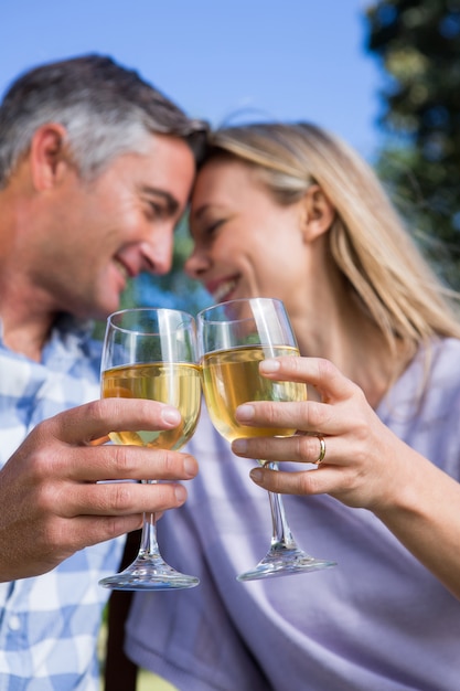 Paare, die im Park mit Wein sich entspannen