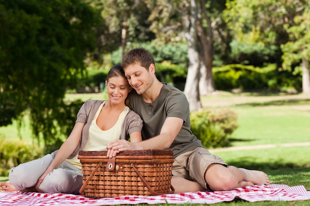 Paare, die im Park picknicken