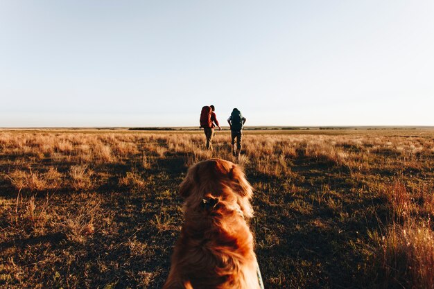 Paare, die zusammen in der Wildnis wandern