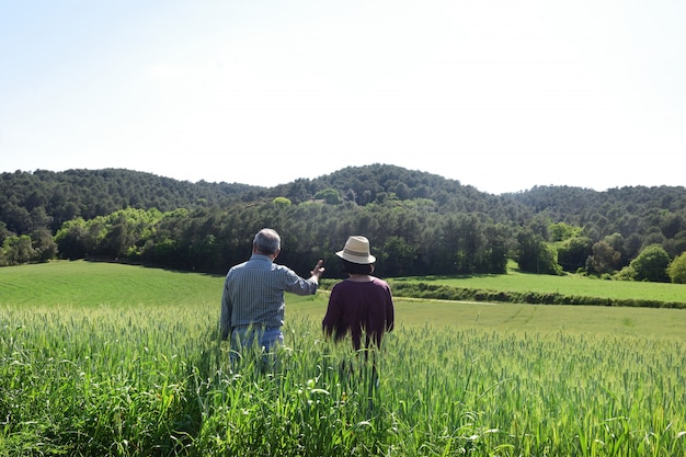 Paarlandwirt auf einem Weizengebiet