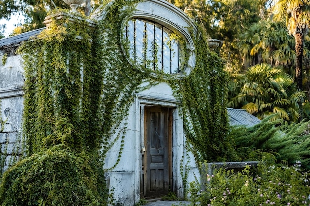 Pabellón de pared blanca con hiedra y puerta de madera en el Jardín Botánico de Batumi