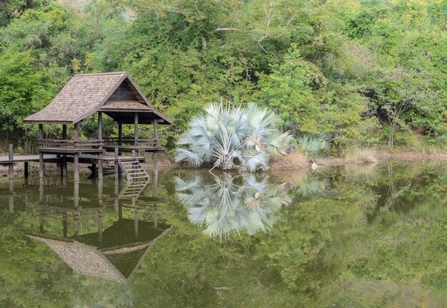Pabellón tailandés en el parque con reflejo