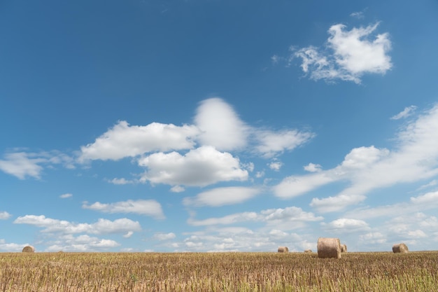 Pacas de heno en un campo de trigo Fin de la temporada de cosecha Hermoso paisaje soleado de verano de campo agrícola bajo un cielo azul y nubes esponjosas