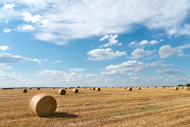 Pacas de heno en un campo de trigo Fin de la temporada de cosecha Hermoso paisaje soleado de verano de campo agrícola bajo un cielo azul y nubes esponjosas