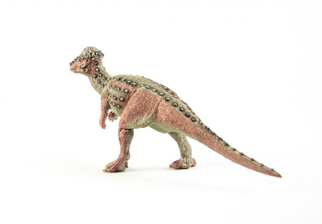 Pachycephalosaurus, dinosaurio.